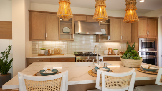 AERO at 3Roots Plan 2 Model Home Now Selling